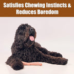 SPOT Bam-Bones Plus Branch -Bamboo Fiber & Nylon, Durable Long Lasting Dog Chew for Aggressive Chewers – Great Toy for Adult Dogs & Teething Puppies Under 90lbs, Non-Splintering, 9.5in, Beef Flavor
