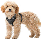 BARKBAY No Pull Dog Harness Large Reflective Dog Harness with Front Clip and Easy Control Handle for Walking Training Running with ID tag Pocket(Black,XS)