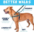 2 Hounds Design - Freedom No-Pull Harness & Training Leash in Blue and Green | Dual Leash Loops, No Pulling on Walks | Lined to Prevent Chaffing | for Large Sized Dogs (Size L, Chest 28”- 32”)