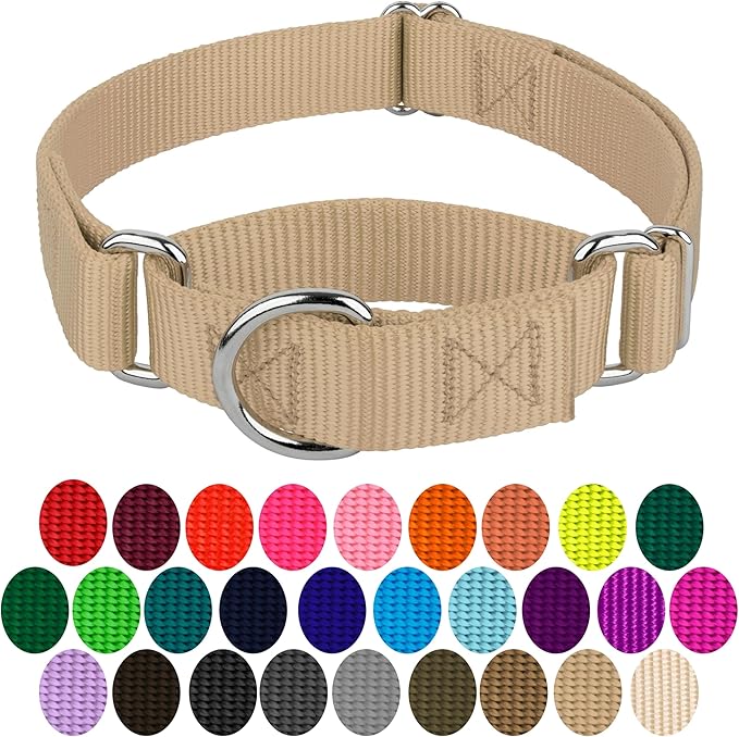 Country Brook Petz - Martingale Dog Collar - Heavy-Duty Training Collar with No Buckle - Service Dog Collar for All Pups - 10+ Warm Colors (Copper Gold, 3/8 Inch, 3XS)