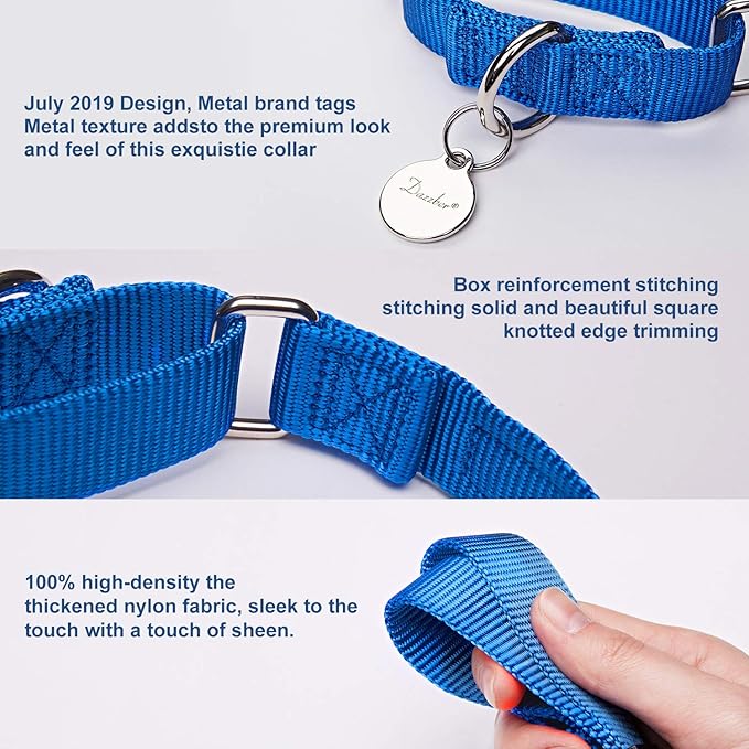 Martingale Dog Collar, Escape-Proof and No Slip Design, Heavy-Duty Nylon with Metal Buckle, Adjustable for Small, Medium & Large Dogs, Colorfast for Training, Daily Walks (Royal Blue, M)