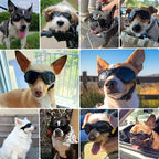 Petleso Dog Goggles Medium Breed, Dog Sunglasses for Medium Dogs Eye Protection Windproof, Black