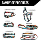 Wolfgang Heavy Duty, Adjustable Dog Collar with Quick Release Nylon Buckle for Walking & Training, BuenaOnda Print, Medium