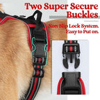 rabbitgoo Dog Harness No Pull with 2 Leash Clips, Adjustable Soft Padded, Reflective Oxford No Choke Pet Vest with Easy Control Handle for Large Dogs, Black & Red, L
