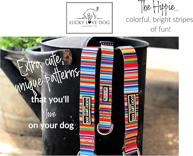 Lucky Love Dog Martingale Dog Collar - Adjustable, No-Slip, Durable, & Soft Webbing Collar for Male and Female Dogs Ideal for Training & Walking - Hippie, Small