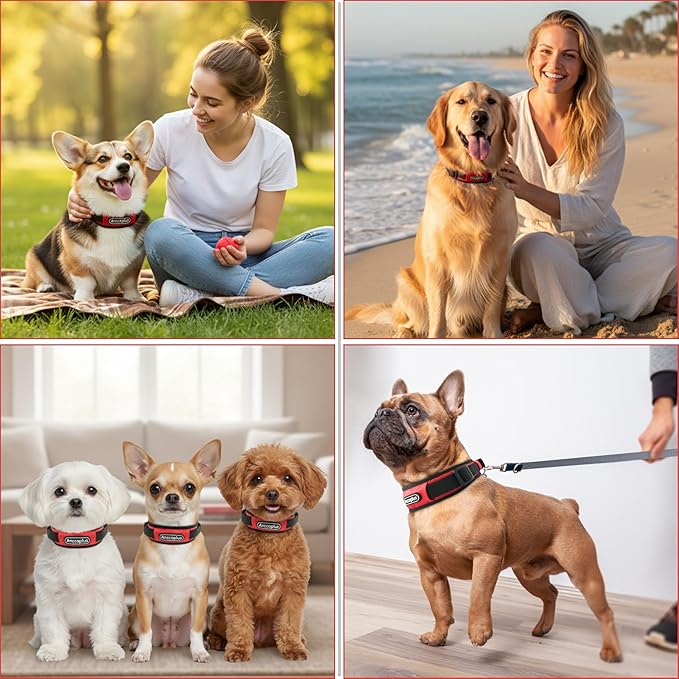Comfort Fit Dog Collar, Anti-Choke Neck Safe Dog Training Collar, Wide Padded, Breathable, Adjustable with Dual D-Rings, Soft Cushion Neck Protector for Dogs (S, Red)
