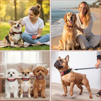 Comfort Fit Dog Collar, Anti-Choke Neck Safe Dog Training Collar, Wide Padded, Breathable, Adjustable with Dual D-Rings, Soft Cushion Neck Protector for Dogs (M, Red)