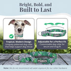 Lucky Love Dog Martingale Collar, Premium No Slip Martingale Collar for Medium Boy Dogs, Great for Whippets, Greyhounds, and More (Medium, Blue Laguna)