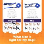 Heather's Heroes The Sidekick No-Pull Leash Blue