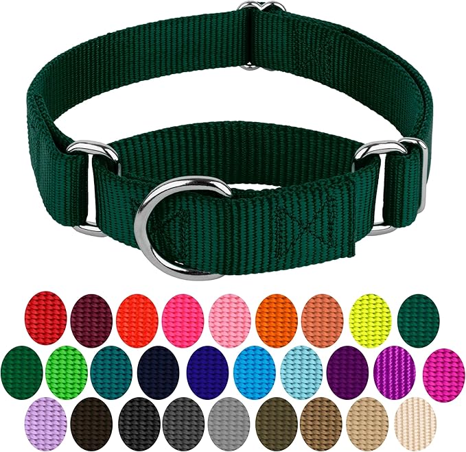 Country Brook Petz - Martingale Dog Collar - Heavy-Duty Training Collar with No Buckle - Service Dog Collar for All Pups - 10+ Cool Colors (Green, 5/8 Inch, Extra Small)