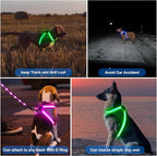 ChalkLit Light Up Dog Harness, No Pull Led Dog Harness Glow-in-The-Dark for Night Walking, USB Rechargeable Lighted Safety Vest for Small Dogs, Adjustable Soft Mesh Fully Illuminated (Blue, Small)