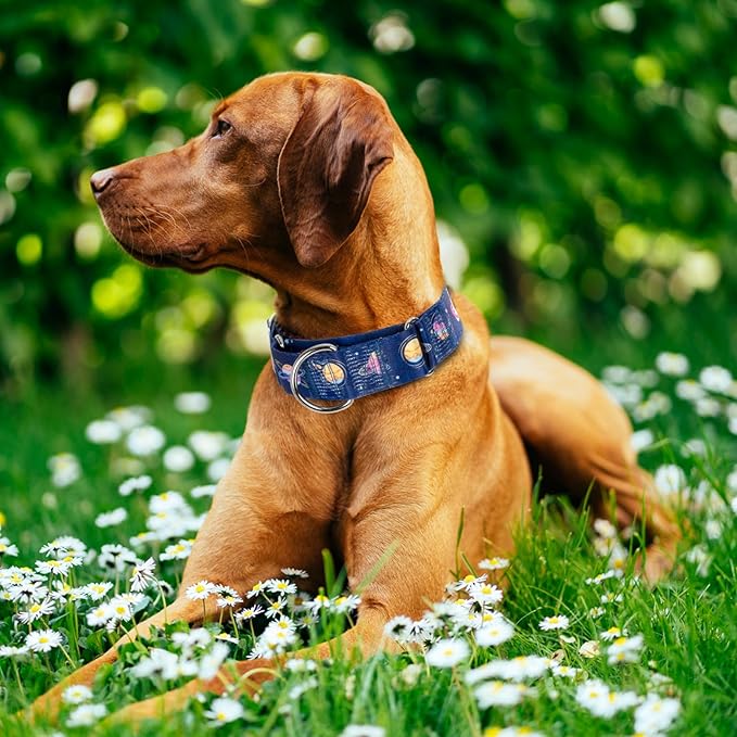 Thick Martingale Collar for Large Dogs - 1.5 Inch Blue Space Pattern No Pull Escape Proof Dog Collar, Adjustable Comfort Training Collar for Medium, Large & XL Dogs(Space Medium)