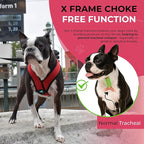 Gooby Comfort X Head In Harness - Red, X-Large - No Pull Small Dog Harness, Patented Choke-Free X Frame - Perfect on the Go Dog Harness for Medium Dogs No Pull or Small Dogs for Indoor and Outdoor Use