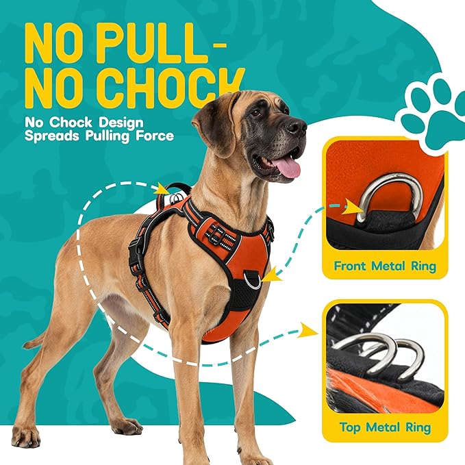 No Pull Dog Harness and Leash Set for Extra Large Dogs – Adjustable Reflective Breathable Soft Padded Easy Control Dog Harness for Training & Walking, Orange (X-Large)