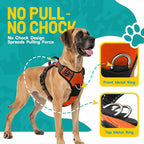 No Pull Dog Harness and Leash Set for Extra Large Dogs – Adjustable Reflective Breathable Soft Padded Easy Control Dog Harness for Training & Walking, Orange (X-Large)
