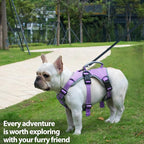 Huntboo Escape Proof Dog Harness, Escape Artist Harness, Reflective Dog Harness with Handle, Durable,Adjustable Vest for Small Medium Large Dogs Walking, Training, and Running Gear(Lavender Purple,S)