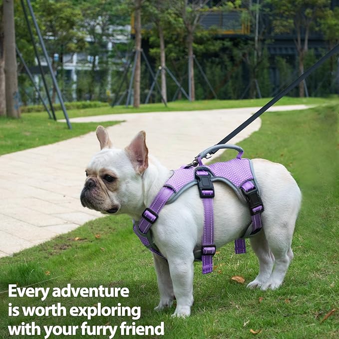 Huntboo Escape Proof Dog Harness, Escape Artist Harness, Reflective Dog Harness with Handle, Durable,Adjustable Vest for Small Medium Large Dogs Walking, Training, and Running Gear(Lavender Purple,S)