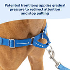 PetSafe Easy Walk Harness for Dogs - Pull-Free Walks - Patented Martingale Loop Design - Front Chest Leash Attachment - Comfort Straps - Breathable Harness Design - Small/Medium, Black/Silver