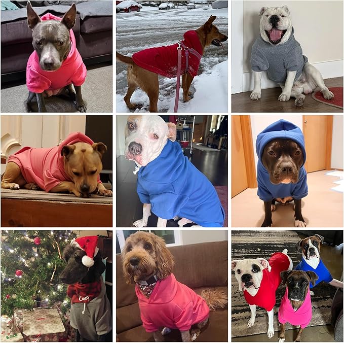 KOOLTAIL Dog Hoodie for Small Medium Dogs Cats, Soft&Warm Pet Sweater with Leash Hole and Pocket Boy Girl,Puppy Fall Winter Jacket Clothes,French Pitbull Cold Weather Coat Sweatshirt,Orange XS