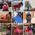 KOOLTAIL Dog Hoodie for Large Medium Small Dogs,Soft &Warm Pet Sweater with Leash Hole and Pocket Boy Girl,Puppy Fall Winter Jacket Clothes,French Pitbull Cold Weather Coat Sweatshirt,Orange S