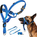 Dog Headcollar with Leash and Safety Strap Stops Heavy Pulling On The Leash Padded Reflective Head Halter for Small Medium Large Dogs Adjustable Head Harness for Training and Walking, (L, Blue)