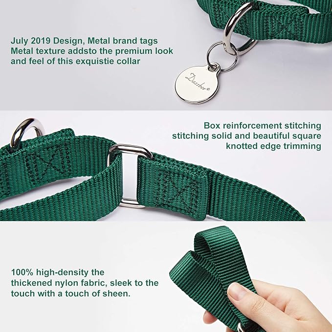 Martingale Dog Collar, No-Buckle Escape-Proof Design, Heavy-Duty Nylon and Welded D-Ring, Adjustable Training Collar for Medium Large Dogs (Dark Green, L)