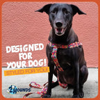 2 Hounds Design - Freedom No-Pull Harness & Training Leash in Tie-Dye | Dual Leash Loops, No Pulling on Walks | Lined to Prevent Chaffing | for Large Sized Dogs (Size L, Chest 28”- 32”)