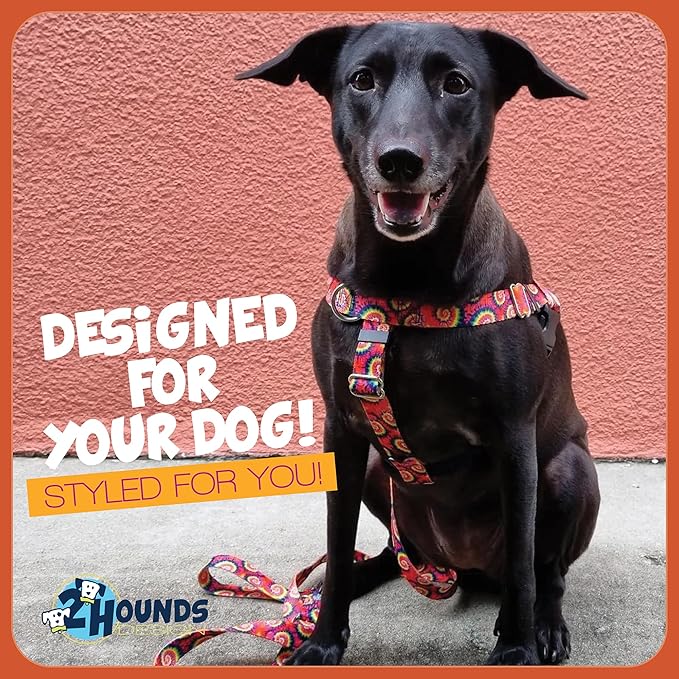 2 Hounds Design - Freedom No-Pull Harness & Training Leash in Tie-Dye | Dual Leash Loops, No Pulling on Walks | Lined to Prevent Chaffing | for Small Sized Dogs (Size S, Chest 20”- 24”)
