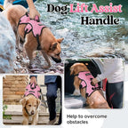 rabbitgoo Escape Proof Dog Harness Large Dogs, Soft Padded Full Body Pet Harness, Reflective Adjustable No Pull Vest with Lift Handle and Leash Clip for Walking Hiking, Light Pink, XL