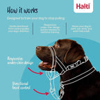 Halti Headcollar - Stop Your Dog Pulling on The Leash. Adjustable, Reflective and Lightweight, with Padded Nose Band. Dog Training Anti-Pull Collar for Medium Dogs (Size 2, Red)