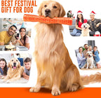 Dog Squeaky Toys Interactive Dog Toys for Aggressive Chewers Tough Rubber Chew Toys for Medium/Large Breed, Indestructible Puppy Chew Toys for Teething (Orange)