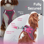 Eagloo Small Dog Harness and Leash Set, Step in Puppy Vest with Breathable Soft Mesh, Walking Reflective Pet Harness for Medium Small Dogs, Rose Red, M