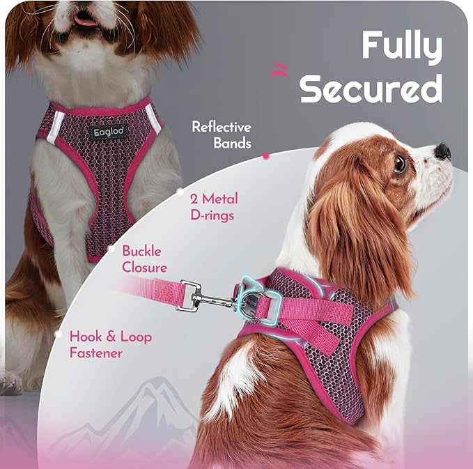 Eagloo Small Dog Harness and Leash Set, Step in Puppy Vest with Breathable Soft Mesh, Walking Reflective Pet Harness for Small Dogs, Rose Red, S