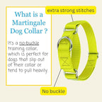 Country Brook Petz - Martingale Dog Collar - Heavy-Duty Training Collar with No Buckle - Service Dog Collar for All Pups - 10+ Warm Colors (Hot Yellow, 5/8 Inch, Extra Small)