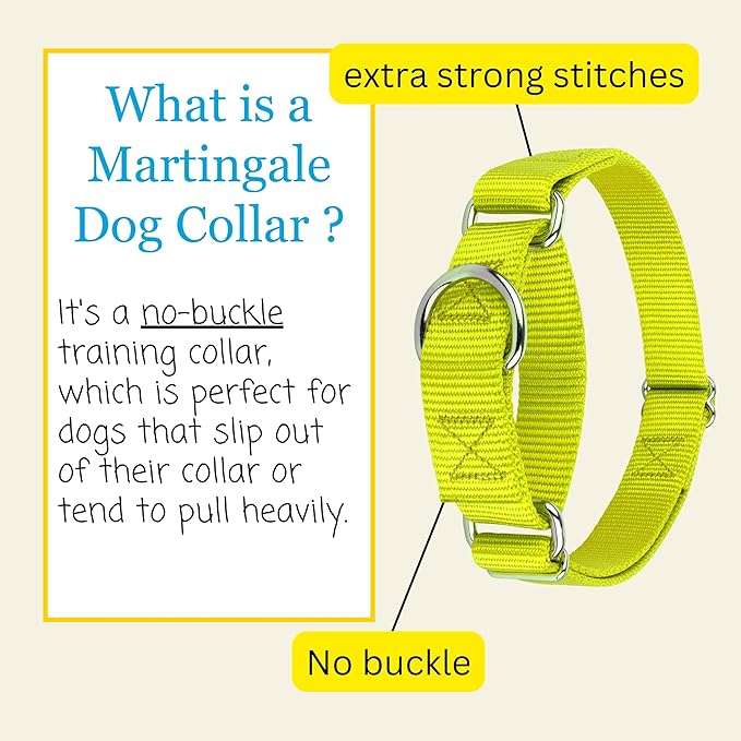 Country Brook Petz - Martingale Dog Collar - Heavy-Duty Training Collar with No Buckle - Service Dog Collar for All Pups - 10+ Warm Colors (Hot Yellow, 5/8 Inch, Extra Small)