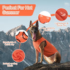 2 Pack Cooling Shirts for Dogs, Lightweight Mesh Breathable Dog Shirt for Medium Dogs Boy, Sun-Protection Sleeveless Shirts for Dog&Cat Puppy Vest Pet Apparel P23ST00605XXL