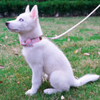 Tunkoo Dog Leash Plaid with Soft Comfy Cotton Handle，Girl Pet for Small Medium Large Dogs Cats Daily Walking（Pink Grid，L）