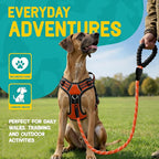 No Pull Dog Harness and Leash Set for Extra Large Dogs – Adjustable Reflective Breathable Soft Padded Easy Control Dog Harness for Training & Walking, Orange (X-Large)