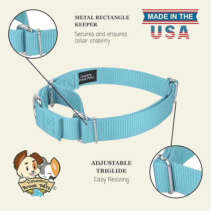Country Brook Petz - Martingale Dog Collar - Heavy-Duty Training Collar with No Buckle - Service Dog Collar for All Pups - 10+ Cool Colors (Ocean Blue, 1 Inch, Medium)