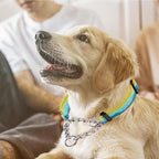 Martingale Dog Collars with Stainless Steel Chain, Reflective No Pull Walking Training Collar with Quick Release Buckle, Adjustable Slip Chain Nylon Dog Collars for Small Medium Large Dogs