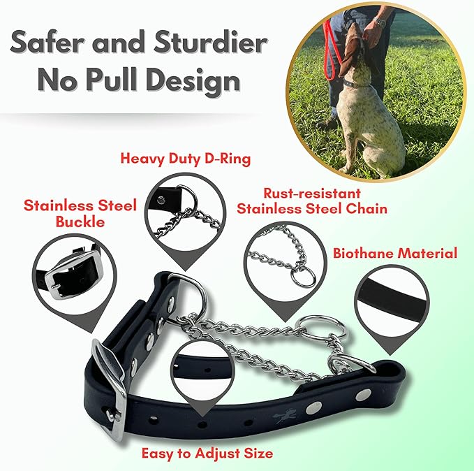Martingale Collar for Dogs, Biothane, Stainless Steel Hardware, No Pull, Made in The USA, Professional Grade,XXS, Black