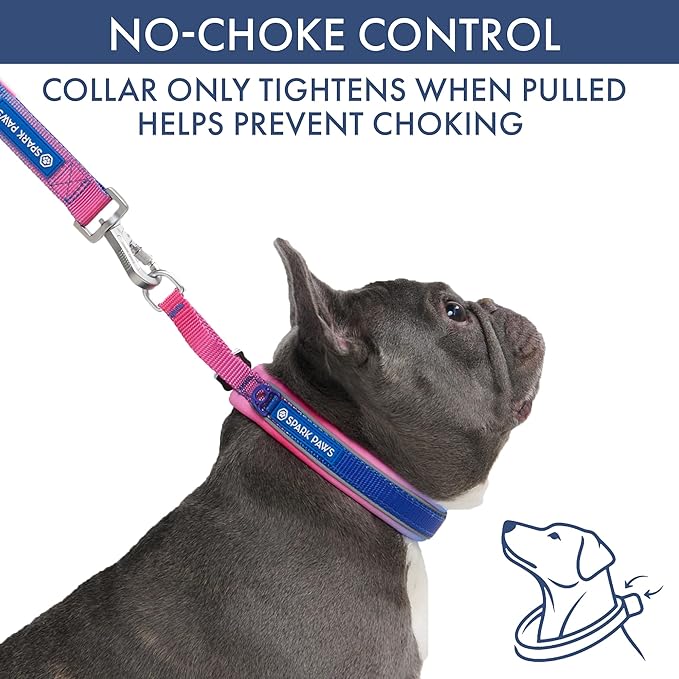 Spark Paws Martingale Dog Collar – Cushioned Slip-On Training Collar, Heavy Duty, Safety-Tested No-Buckle Collar for Medium & Large Dogs - Snow Cone - D