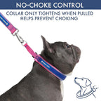 Spark Paws Martingale Dog Collar – Cushioned Slip-On Training Collar, Heavy Duty, Safety-Tested No-Buckle Collar for Medium & Large Dogs - Snow Cone - C