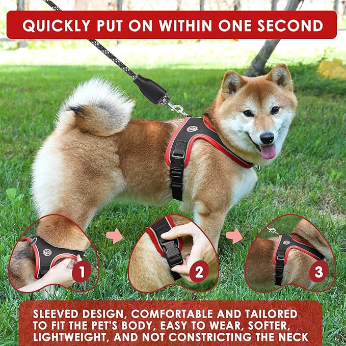 Dog Harness and Leash Set, No Pull Saddle Style Pet Harness, Breathable Mesh Adjustable Reflective Dog Vest for Dogs and Cat Medium Small Harness 2 D-Rings (Black, S)