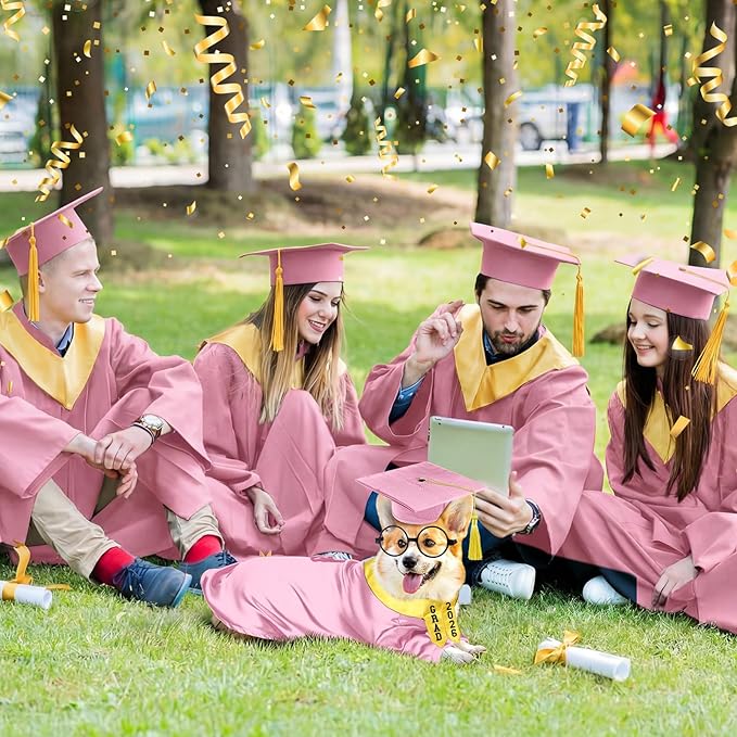 5 Pcs Dog Graduation Costume Set Include 2026 Pet Graduation Gown with Stole Puppy Grad Cap Lensless Glasses DIY Letter Stickers for Dogs Cats Holiday Costume Accessory(Pink Yellow,L)