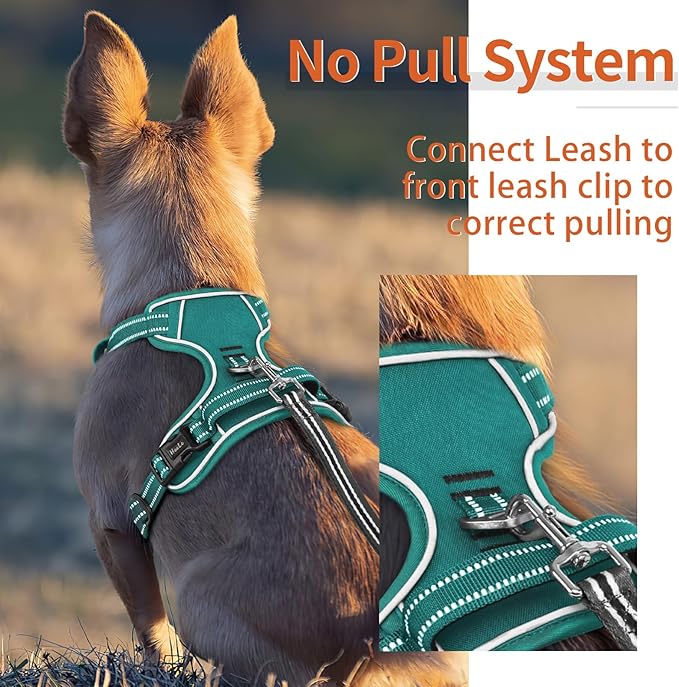 HEELE Dog Harness for Large Dogs No Pull Dog Vest Harness for Large Dog with Soft Padded Handle Reflective for Outdoor Training, Grass Green, XL