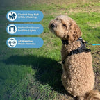 Voyager Dog Harness Dual Leash Attachment No-Pull Control Adjustable Soft but Strong Pet Harness for Medium and Large Dogs with 3M Reflective Technology, Leash Set Black Nylon, XL (Chest: 28-37")