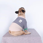 iChoue Pet Dog Crewneck Sweater Color Block Pullover Winter Warm Clothes for English Bulldog Bully Pitbull - Grey and Yellow/XLarge