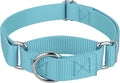 Country Brook Petz - Martingale Dog Collar - Heavy-Duty Training Collar with No Buckle - Service Dog Collar for All Pups - 10+ Cool Colors (Ocean Blue, 3/8 Inch, 2XS)