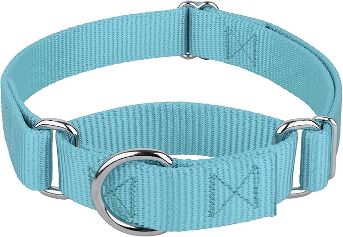 Country Brook Petz - Martingale Dog Collar - Heavy-Duty Training Collar with No Buckle - Service Dog Collar for All Pups - 10+ Cool Colors (Ocean Blue, 3/8 Inch, 2XS)